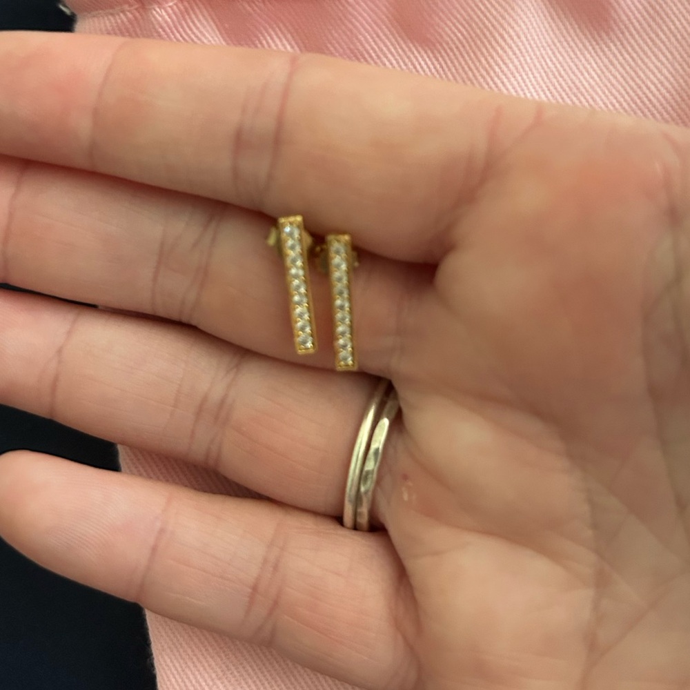 Elegant Gold and Silver Earrings